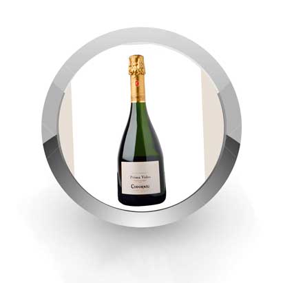 Prima vides codorniu